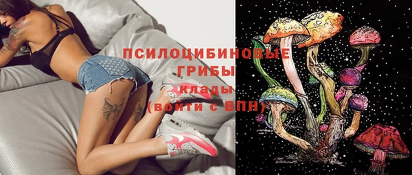 спиды Алзамай
